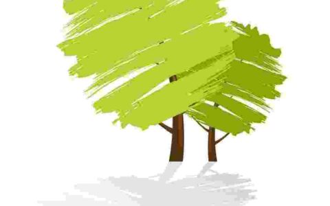 The Environmental Cost of Spending: Polymer vs Paper Banknotes